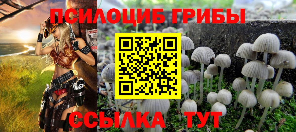 Галлюциногенные грибы Cubensis Ступино